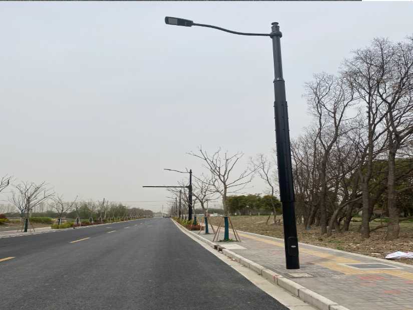 琼海市上海综合杆 太阳能路灯工程